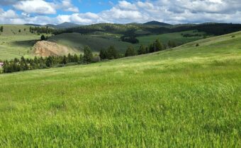 65 Gold Coin Road, Hall MT 59837