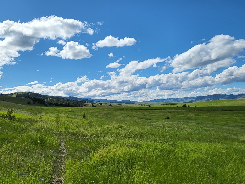 65 Gold Coin Road, Hall MT 59837