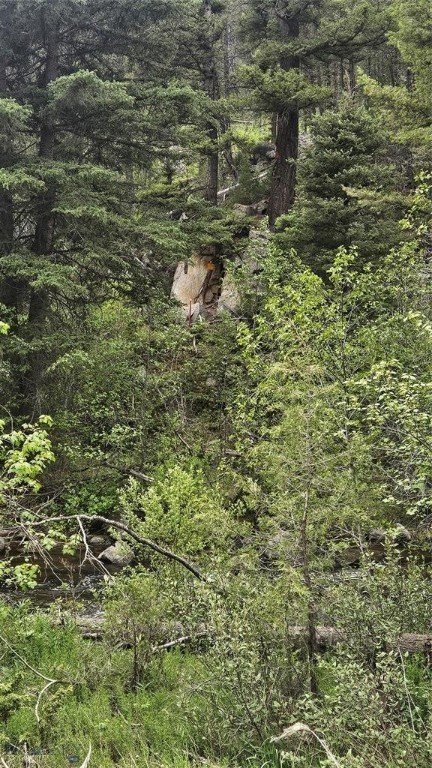 67 Basin Creek Road, Boulder MT 59631