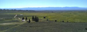 Wisdom MT 59761 - 1