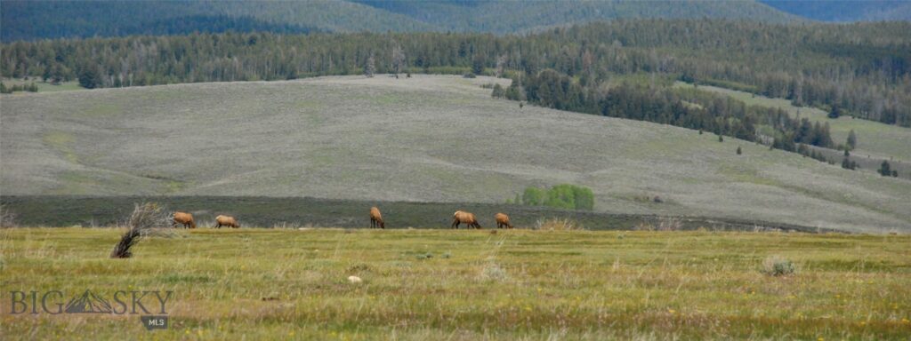 6800 Mussigbrod Lake Road, Wisdom MT 59761
