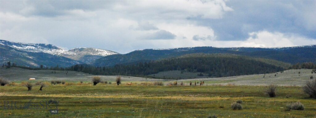 6800 Mussigbrod Lake Road, Wisdom MT 59761