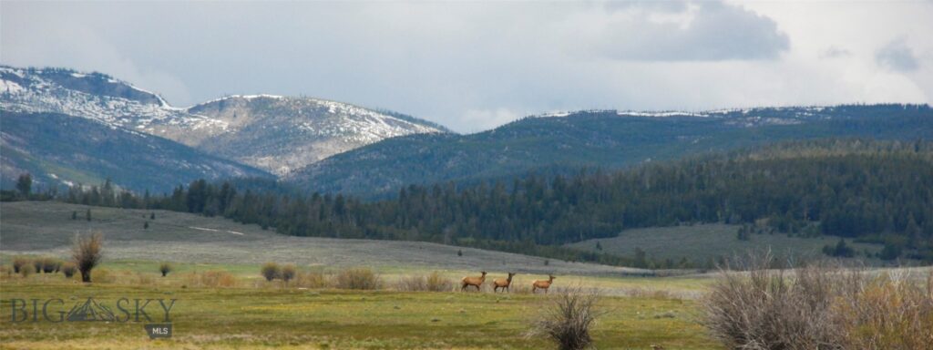 6800 Mussigbrod Lake Road, Wisdom MT 59761