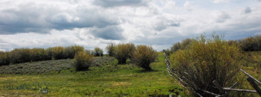 6800 Mussigbrod Lake Road, Wisdom MT 59761