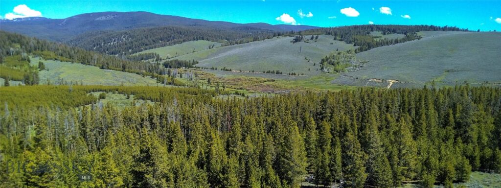 6800 Mussigbrod Lake Road, Wisdom MT 59761