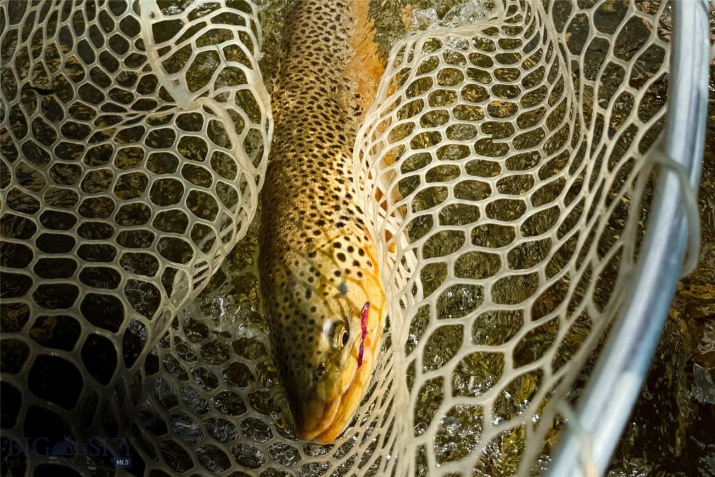 69 Upper Rainbow, Bozeman MT 59718