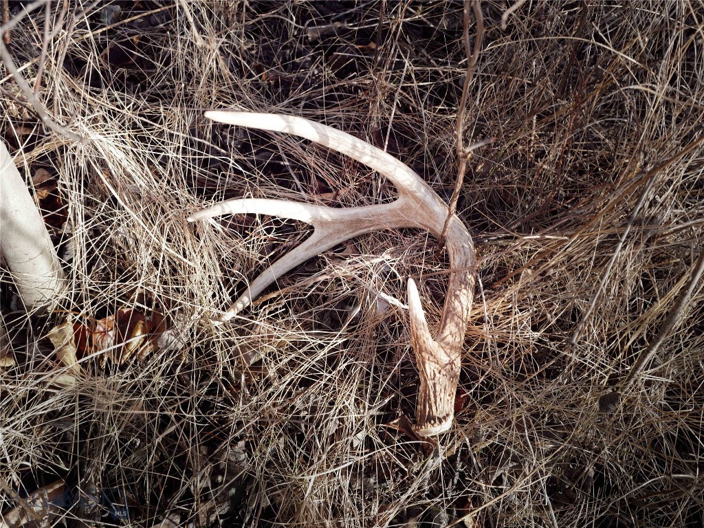 69 Upper Rainbow, Bozeman MT 59718