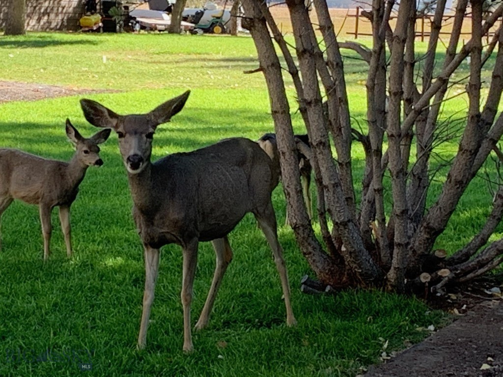 7 Meadow Lane, Cascade MT 59421