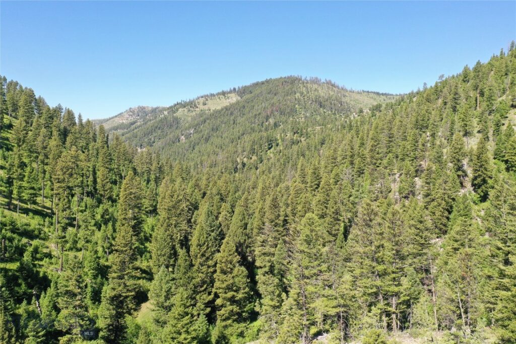 7 Tract, Garnet Range, Drummond MT 59832