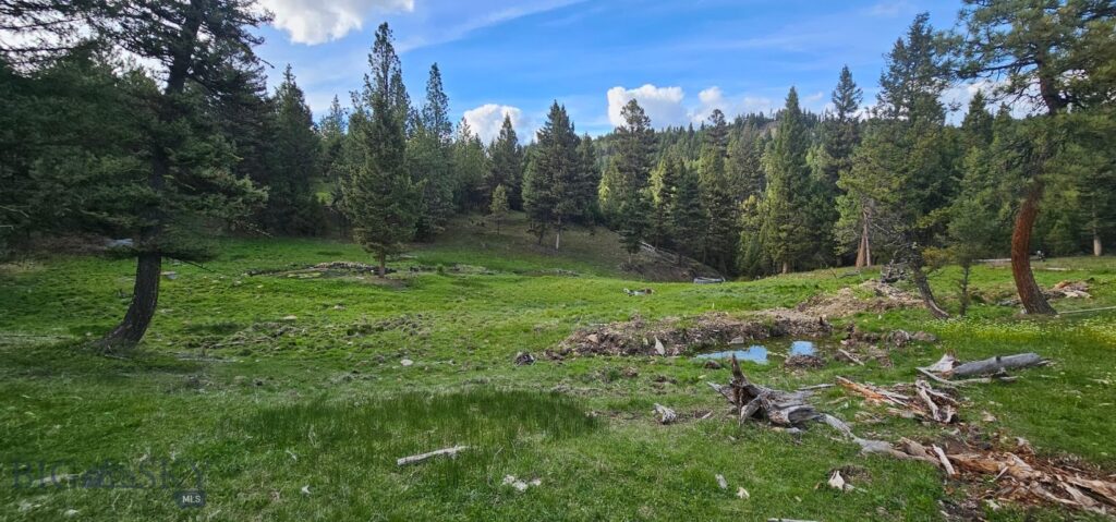 7 Tract, Bull Elk, Drummond MT 59832