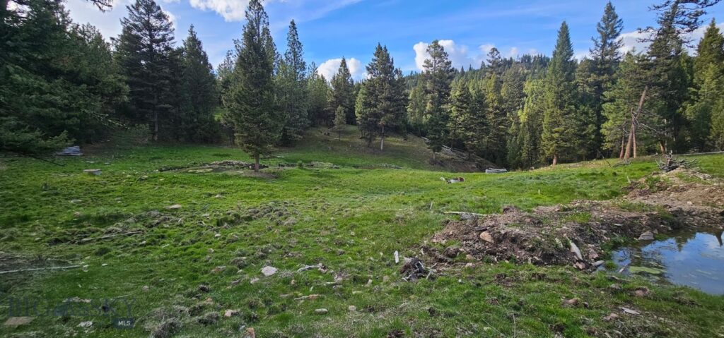 7 Tract, Bull Elk, Drummond MT 59832