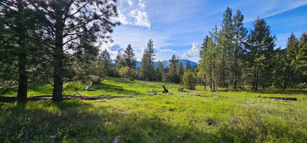 7 Tract, Bull Elk, Drummond MT 59832