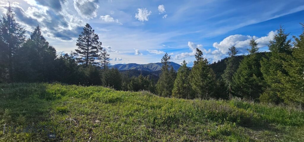 7 Tract, Bull Elk, Drummond MT 59832