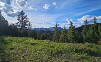 7 Tract, Bull Elk, Drummond MT 59832