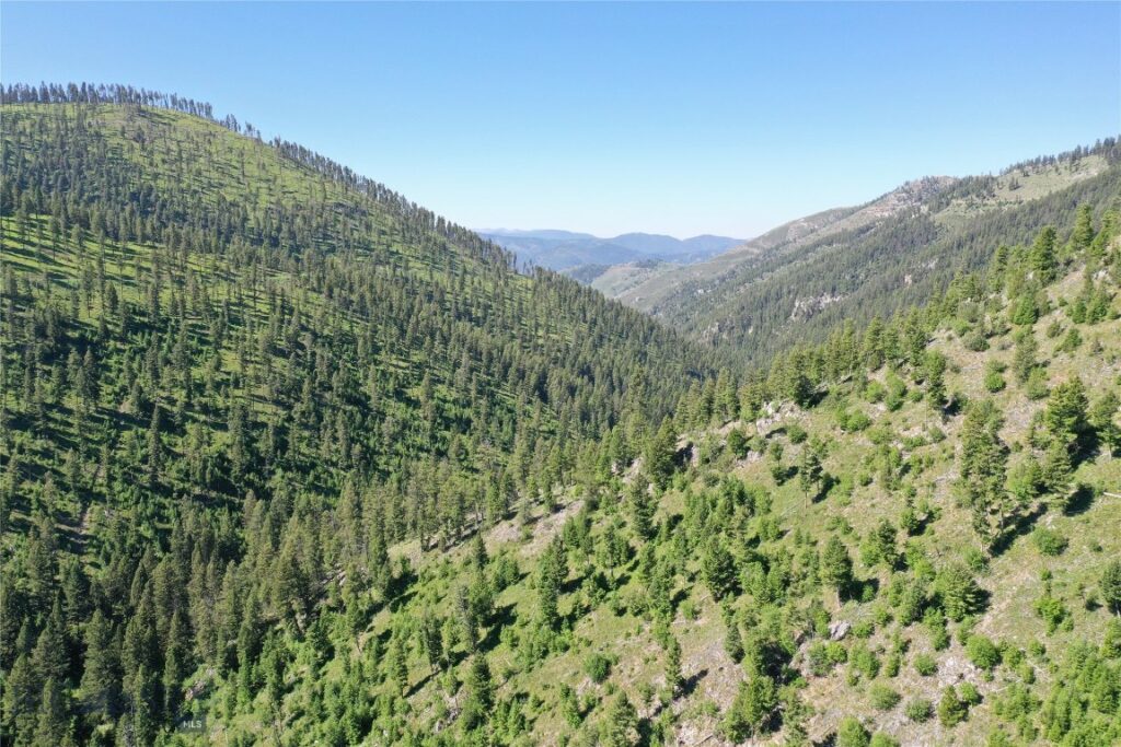 7 Tract, Garnet Range, Drummond MT 59832