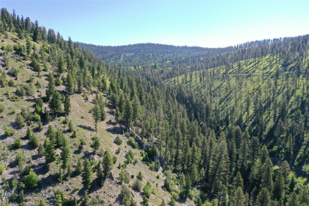 7 Tract, Garnet Range, Drummond MT 59832