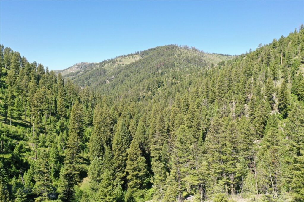 7 Tract, Garnet Range, Drummond MT 59832