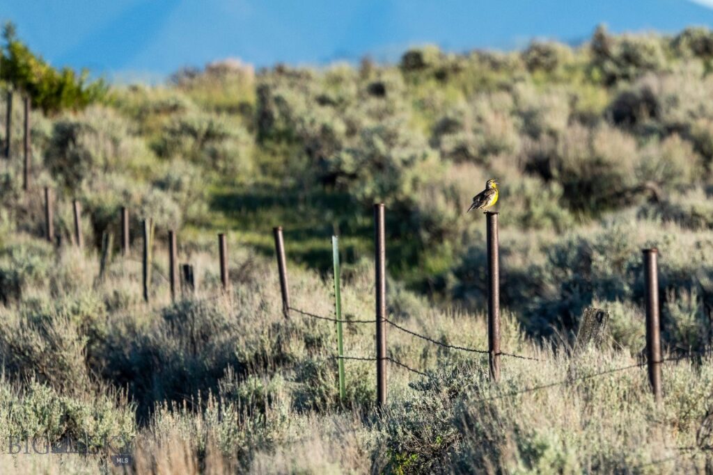70 Shy rd, Wilsall MT 59086