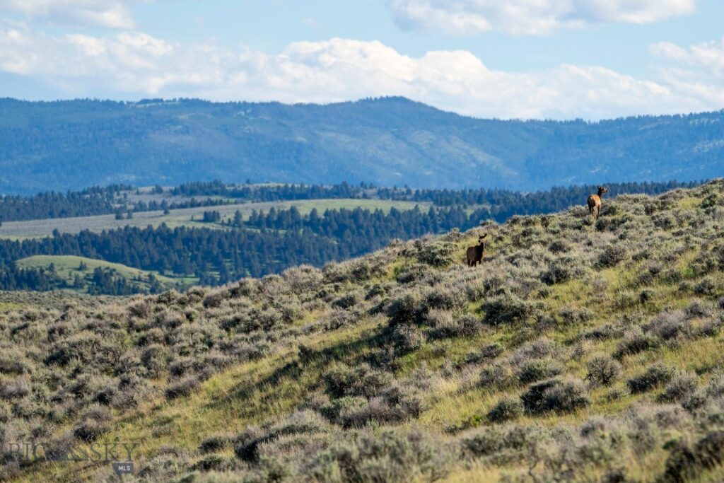 70 Shy rd, Wilsall MT 59086