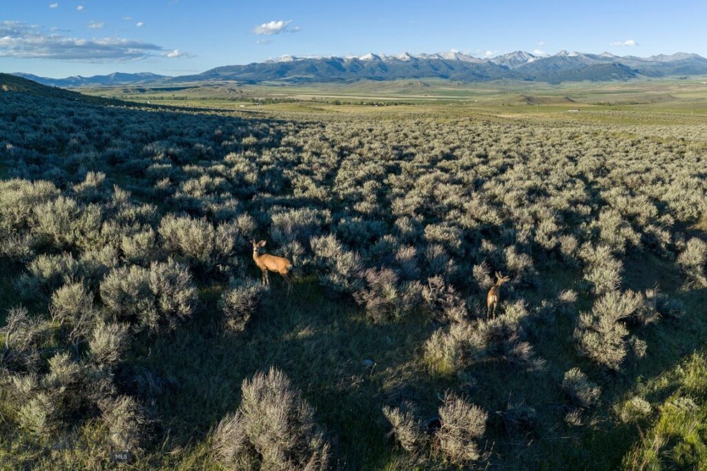 70 Shy rd, Wilsall MT 59086