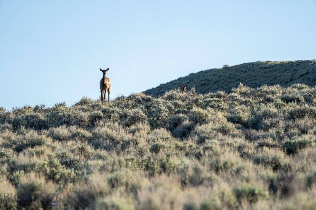 70 Shy rd, Wilsall MT 59086