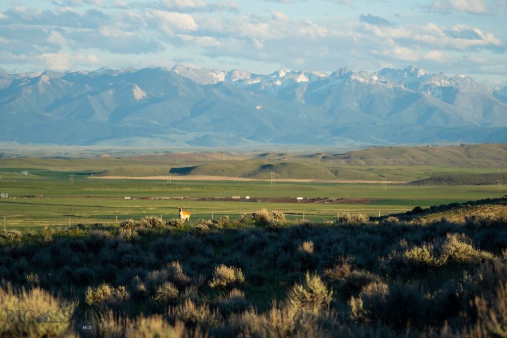 70 Shy rd, Wilsall MT 59086