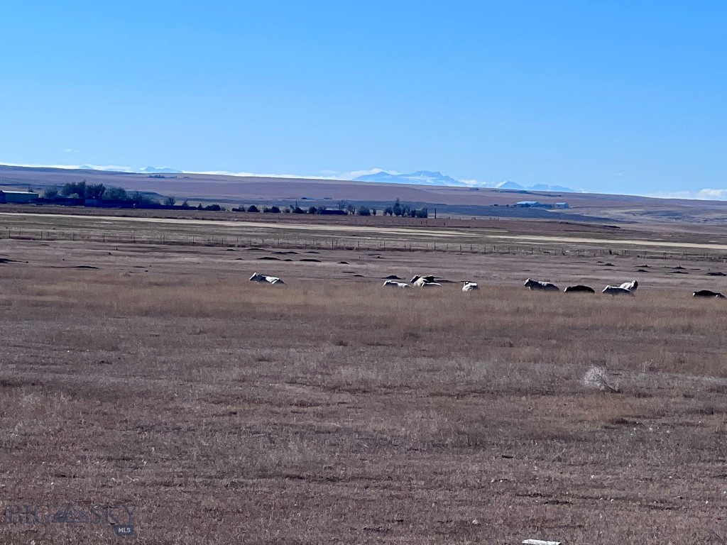 7069 Mainwaring Road, Billings MT 59002