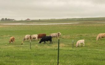 7069 Mainwaring Road, Billings MT 59002