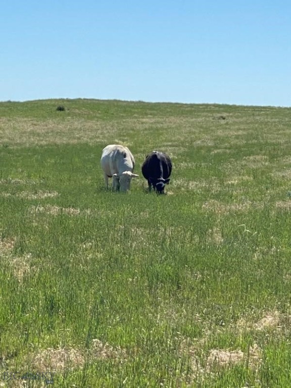 7069 Mainwaring Road, Billings MT 59002