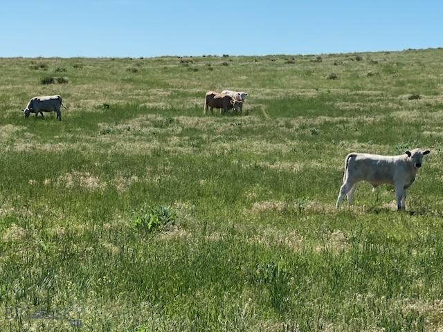 7069 Mainwaring Road, Billings MT 59002