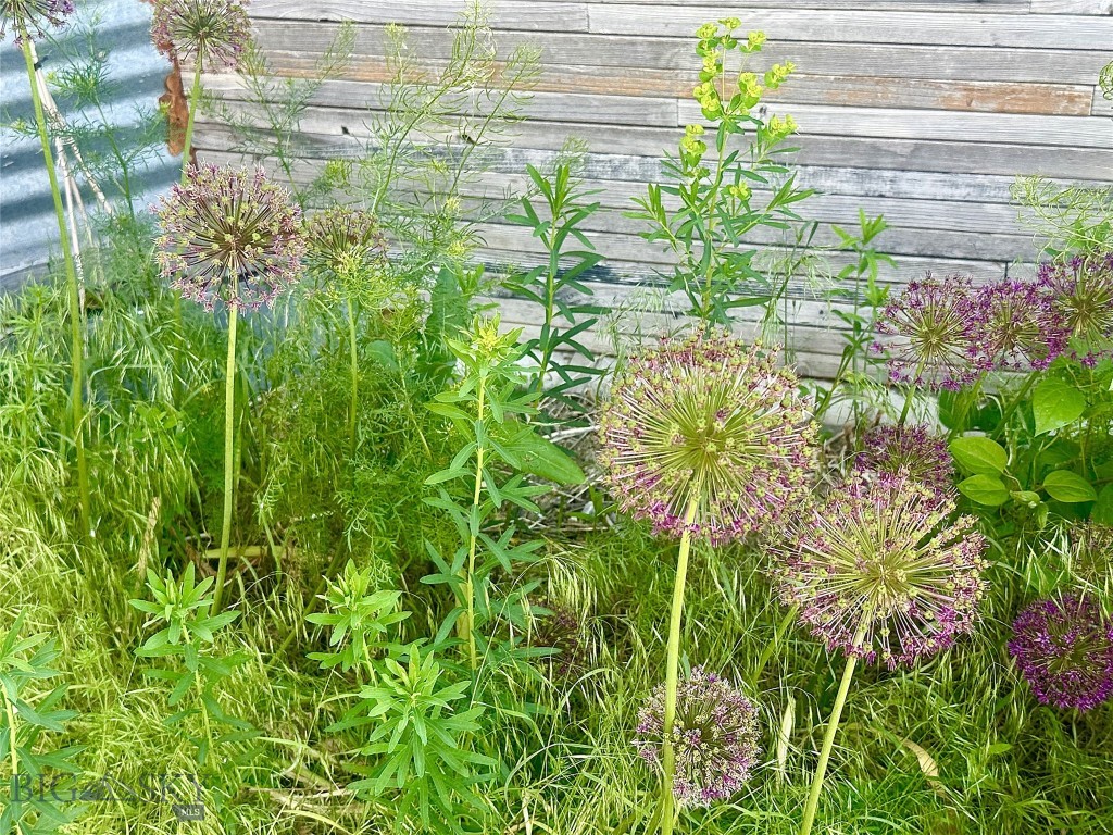 728 Madison River Road, Three Forks MT 59752