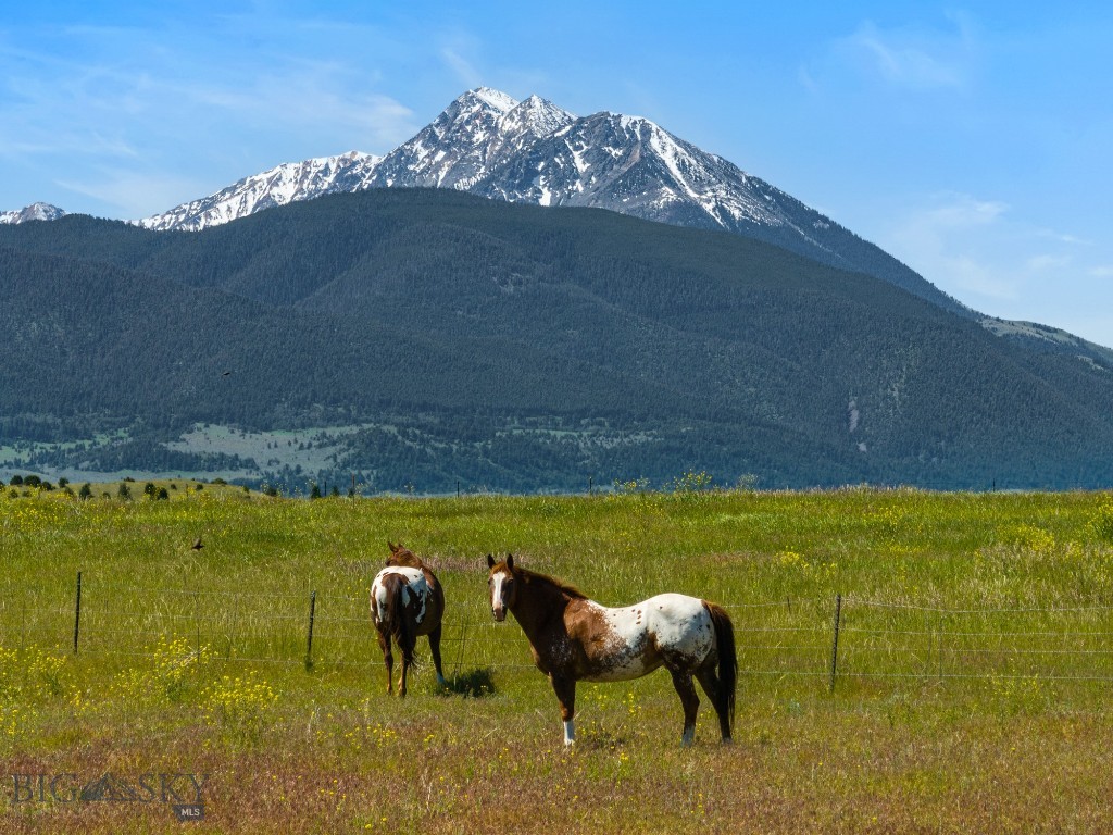 79 Dexter Peak Road, Livingston MT 59047