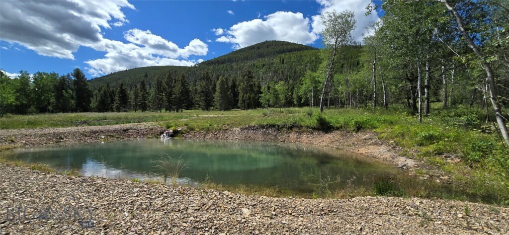 8 Tract, Hall Creek, Helmville MT 59843