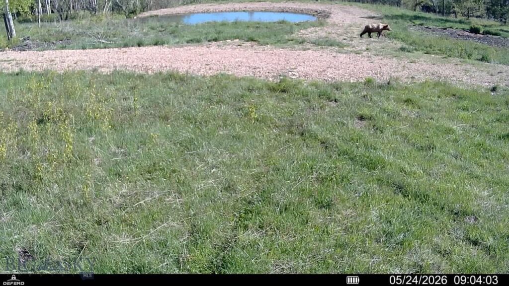 8 Tract, Hall Creek, Helmville MT 59843