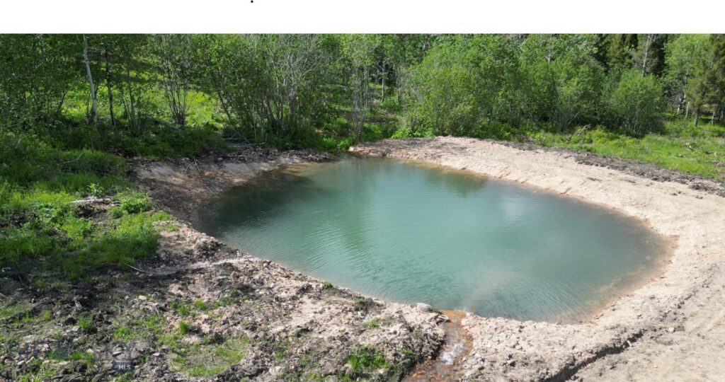 8 Tract, Hall Creek, Helmville MT 59843