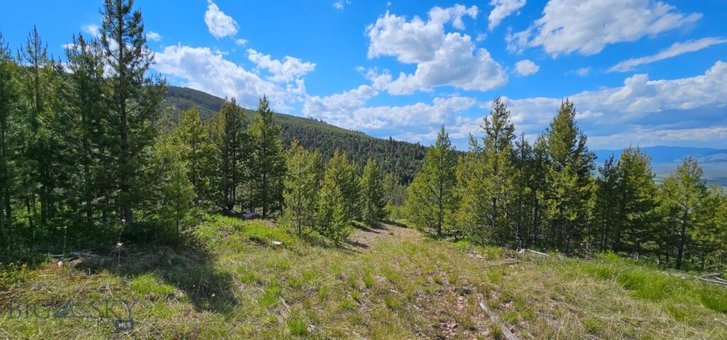 8 Tract, Hall Creek, Helmville MT 59843