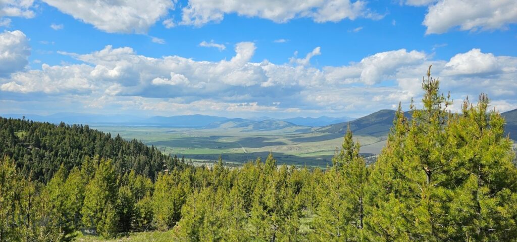 8 Tract, Hall Creek, Helmville MT 59843