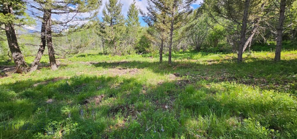 8 Tract, Hall Creek, Helmville MT 59843