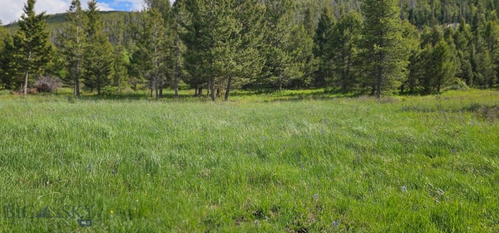 8 Tract, Hall Creek, Helmville MT 59843