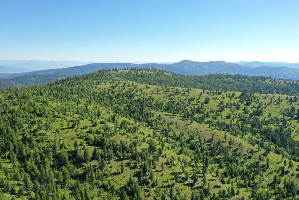 8 Tract, Garnet Range, Drummond MT 59832