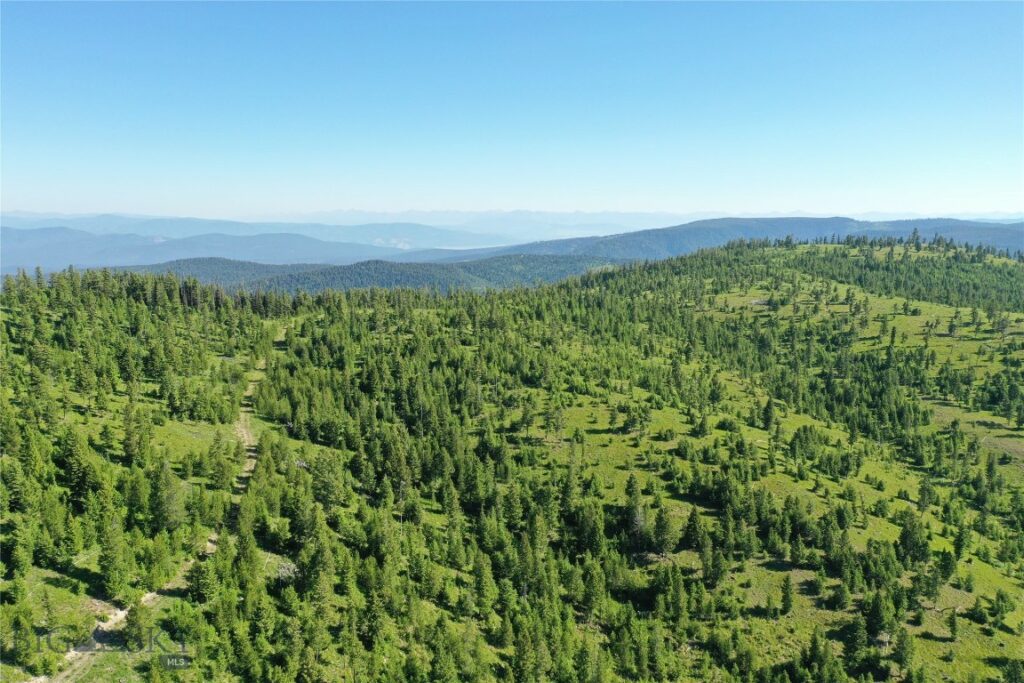 8 Tract, Garnet Range, Drummond MT 59832