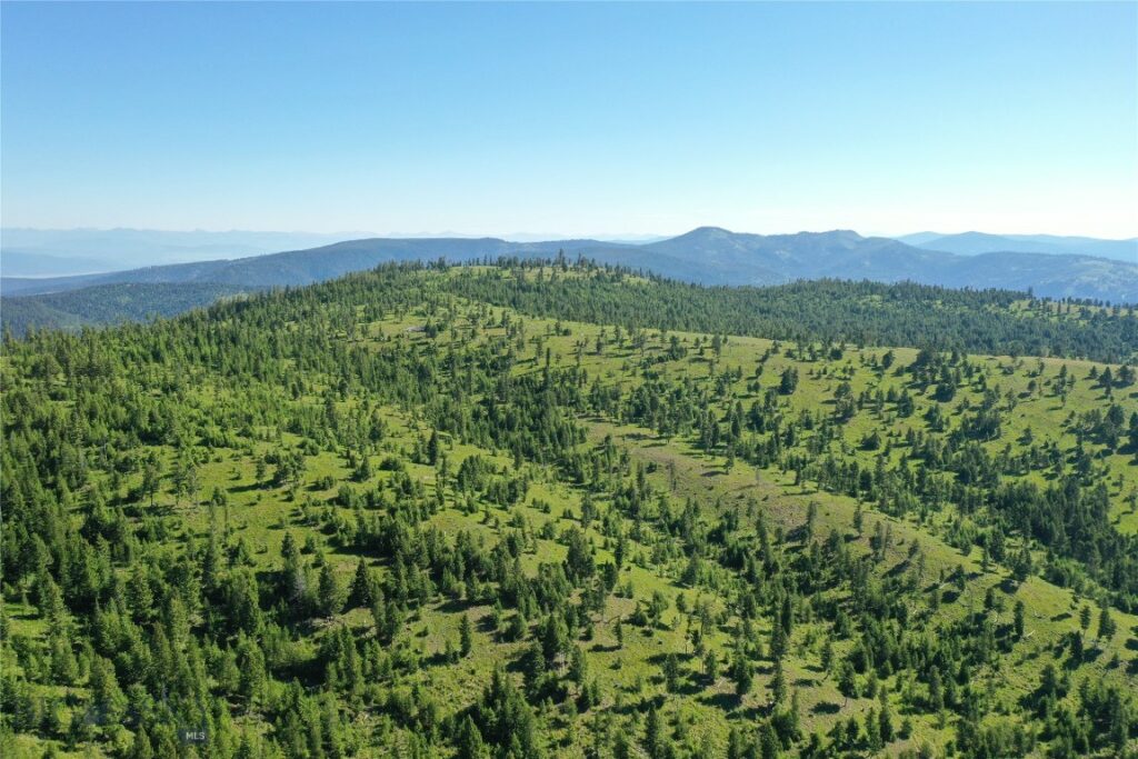 8 Tract, Garnet Range, Drummond MT 59832