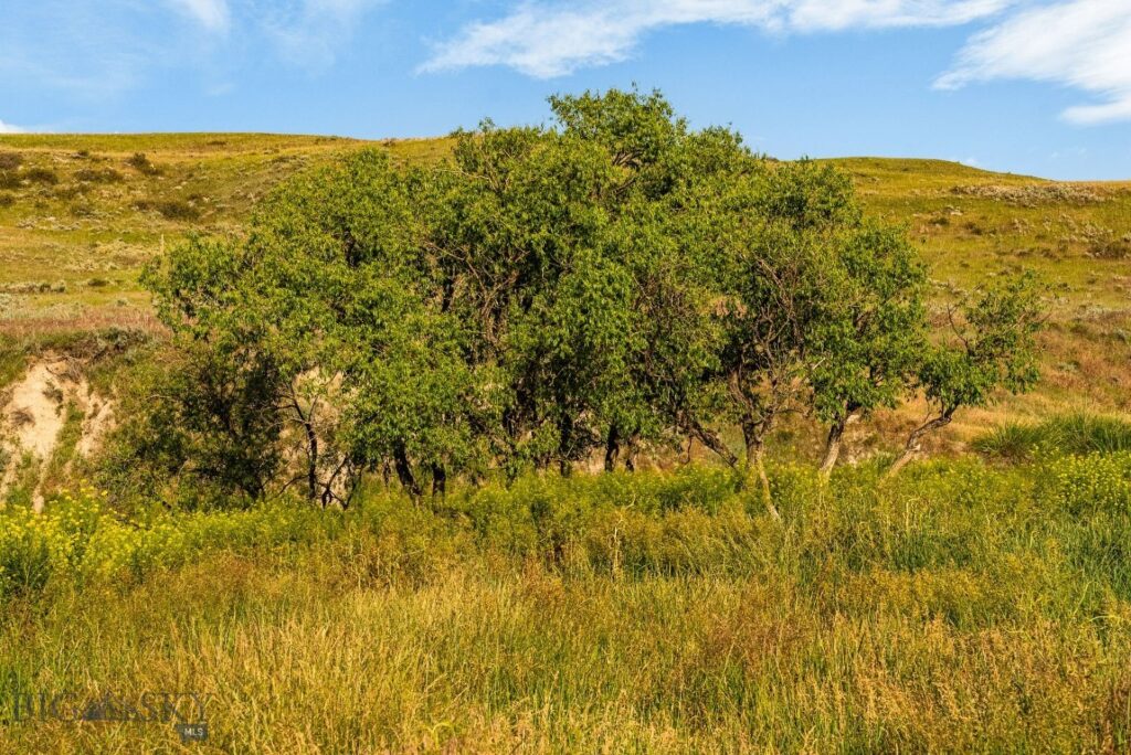 8200 Camp Creek Road, Manhattan MT 59741