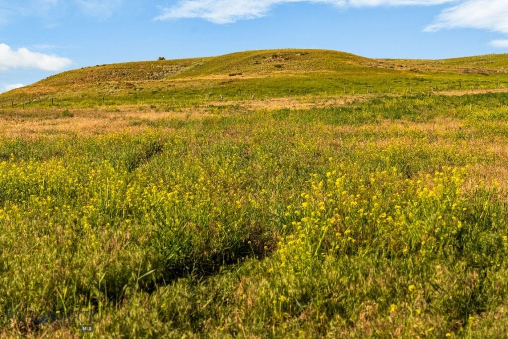 8200 Camp Creek Road, Manhattan MT 59741