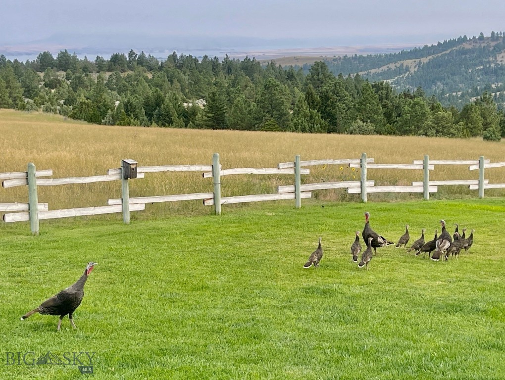 83 Big Country Drive, Townsend MT 59644