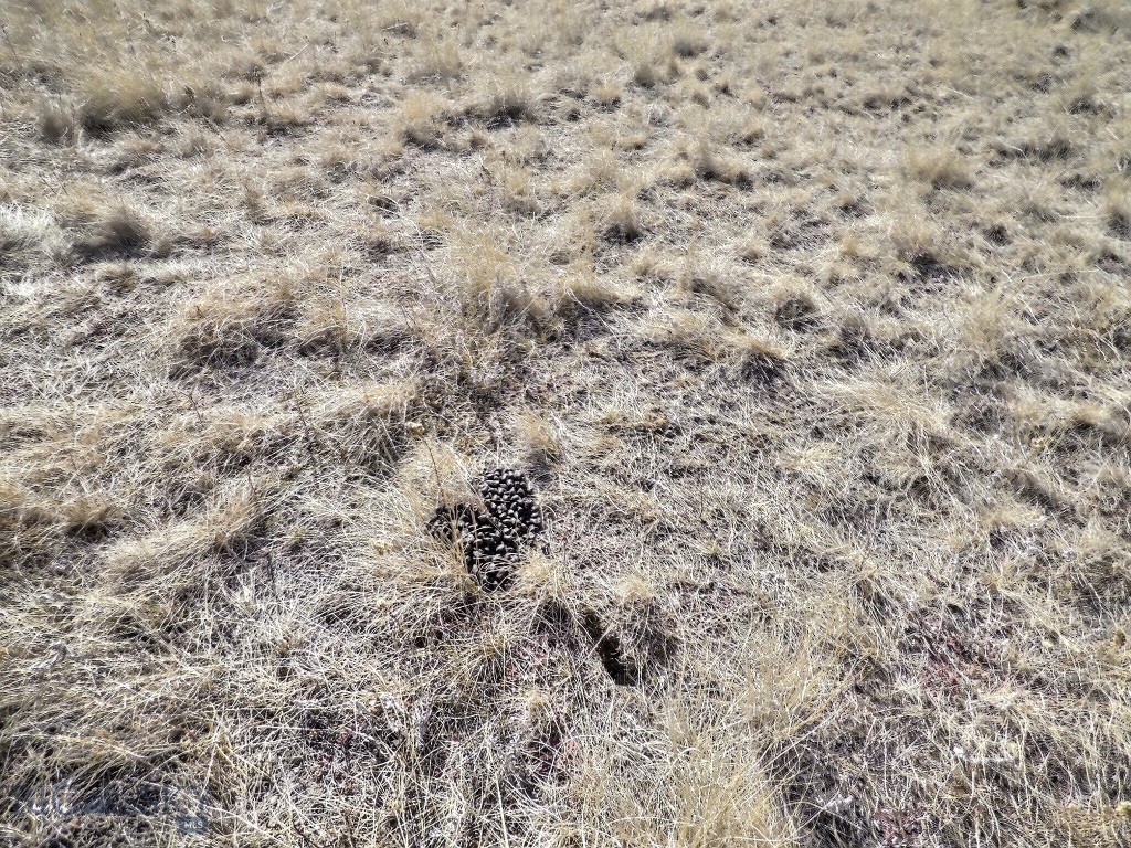 83 Nursery Creek, Boulder MT 59632