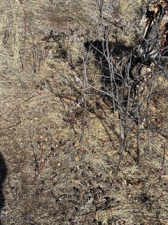 83 Nursery Creek, Boulder MT 59632