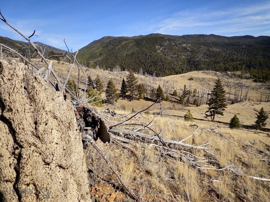 83 Nursery Creek, Boulder MT 59632