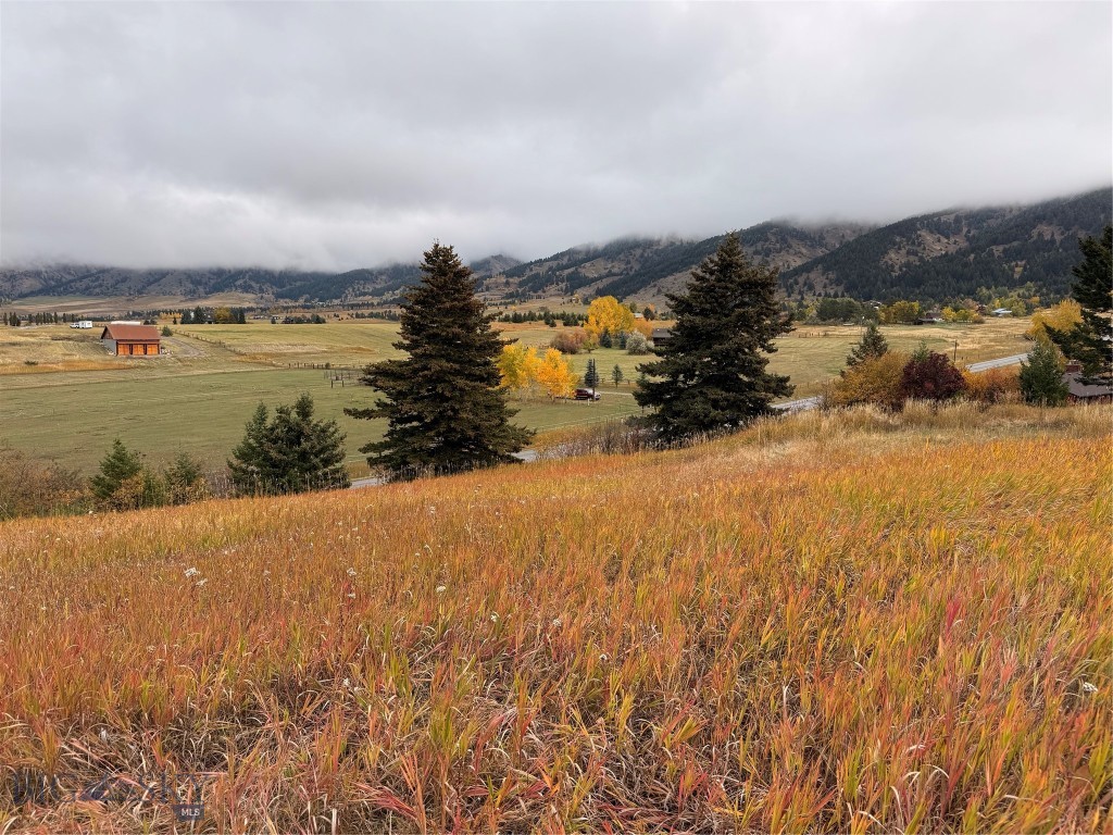 8350 Sypes Canyon Road, Bozeman MT 59715