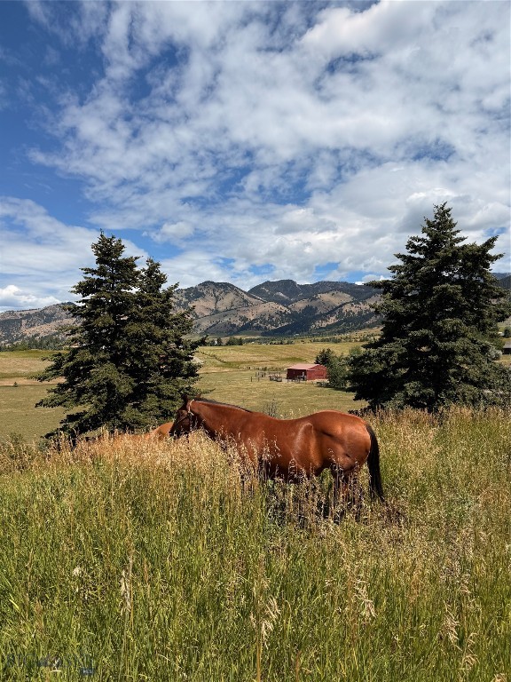 8350 Sypes Canyon Road, Bozeman MT 59715